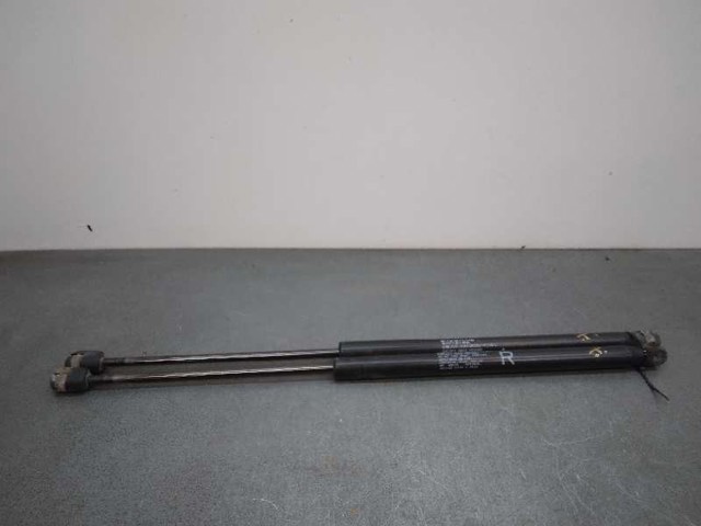 Amortecedor de tampa de porta-malas (de 3ª/5ª porta traseira) 5802A008 PEUGEOT