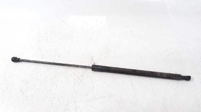 Amortecedor da capota 58CM330N RENAULT