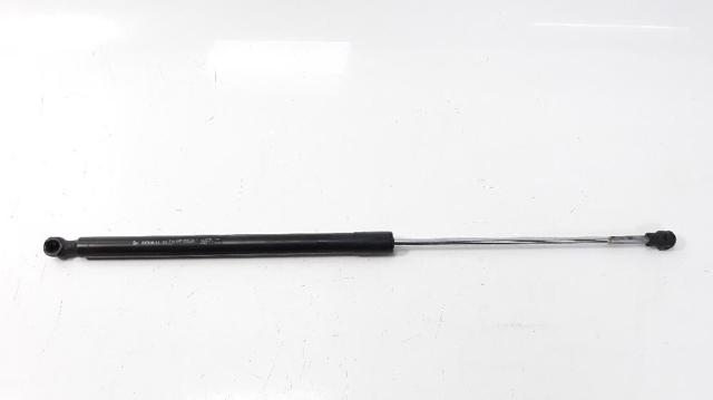 Amortecedor da capota 58CM330N RENAULT