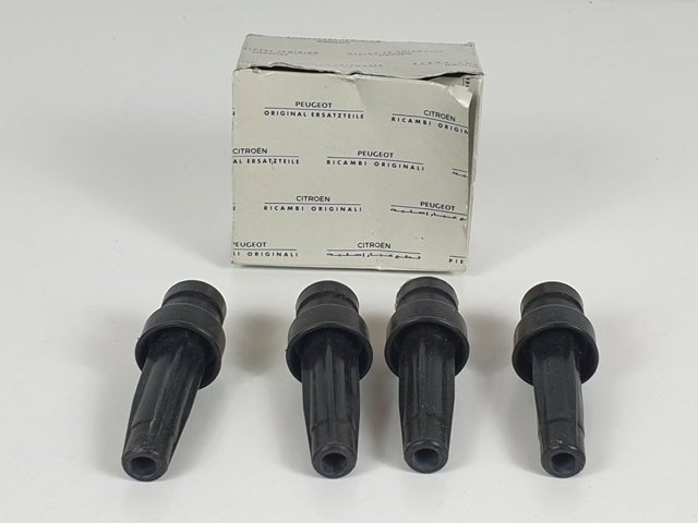 596315 Peugeot/Citroen