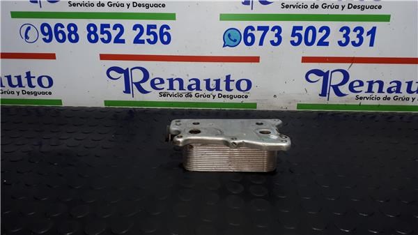 Radiador de óleo 5989070191 MERCEDES