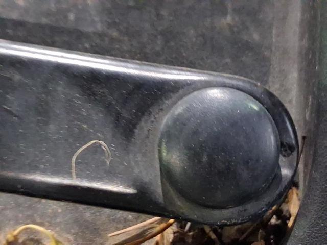 5F1955023B VAG