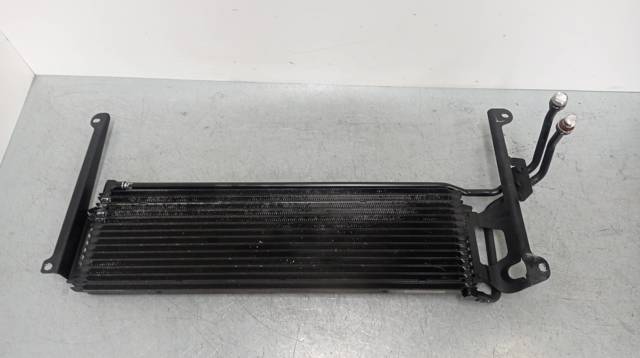 Radiador de esfriamento, Caixa Automática de Mudança 5N0317019A VAG