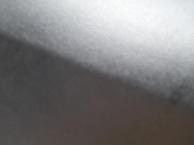 5P0839462 VAG
