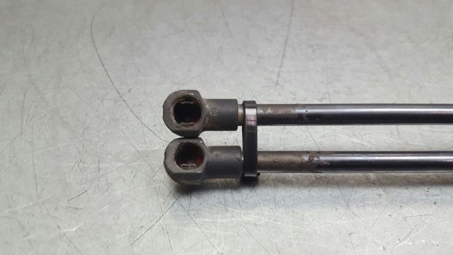 Amortecedor de tampa de porta-malas (de 3ª/5ª porta traseira) 5Z6827550B VAG