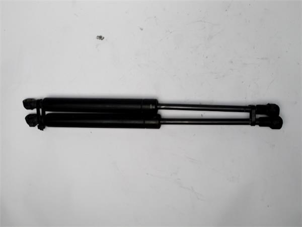 Amortecedor de tampa de porta-malas (de 3ª/5ª porta traseira) 60567794 FIAT