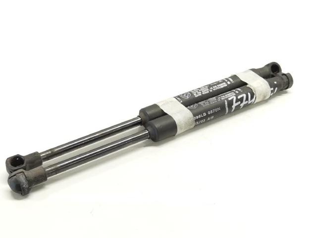 Amortecedor de tampa de porta-malas (de 3ª/5ª porta traseira) 60651067 FIAT