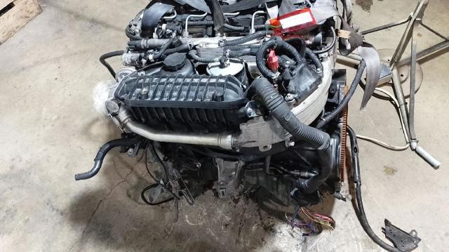 612962 Mercedes