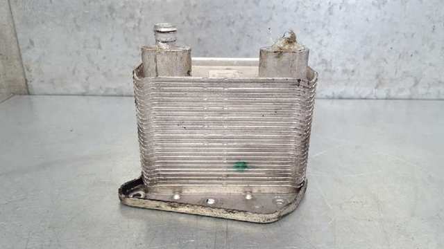 Radiador de óleo 6131880101 MERCEDES