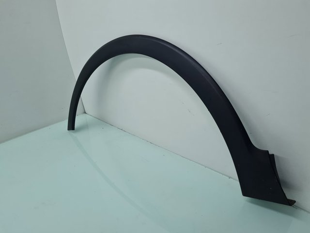 Expansor (placa sobreposta) de arco do pára-lama dianteiro esquerdo 638131788R RENAULT