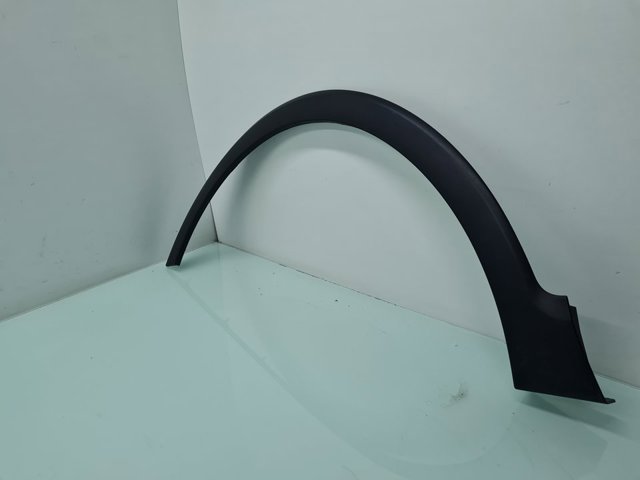 Expansor (placa sobreposta) de arco do pára-lama dianteiro esquerdo 638131788R RENAULT