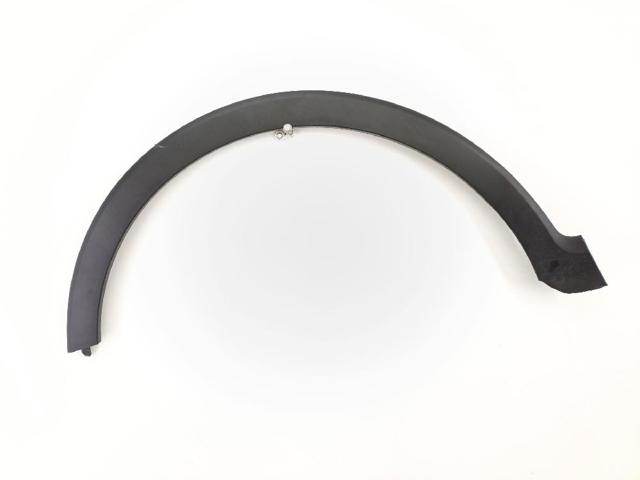 Expansor (placa sobreposta) de arco do pára-lama dianteiro esquerdo 638131788R RENAULT