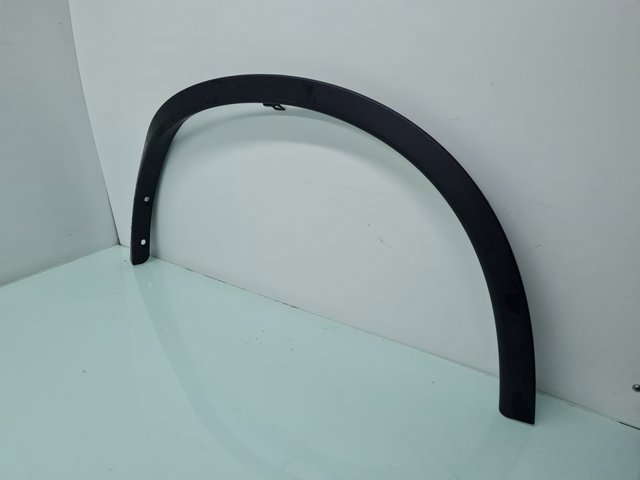 Expansor (placa sobreposta) de arco do pára-lama dianteiro esquerdo 638614CE0A NISSAN