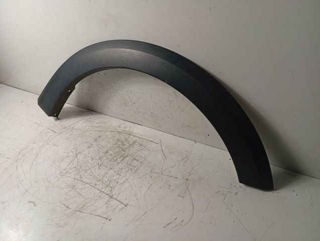 Expansor (placa sobreposta) de arco do pára-lama dianteiro direito 638747990R RENAULT