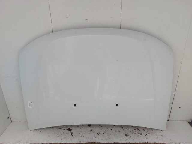 651000987R Renault (RVI)