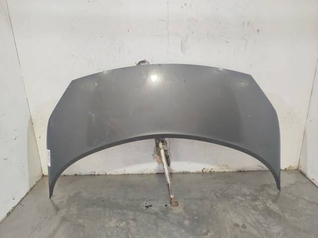651001097R Renault (RVI)