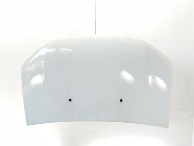 651001918R Renault (RVI)