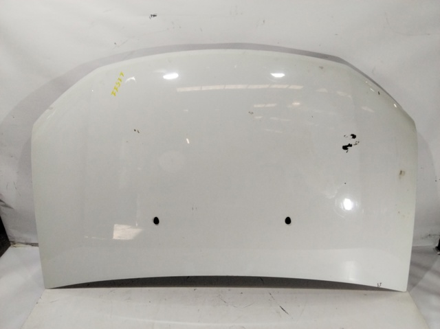 651001918R Renault (RVI)