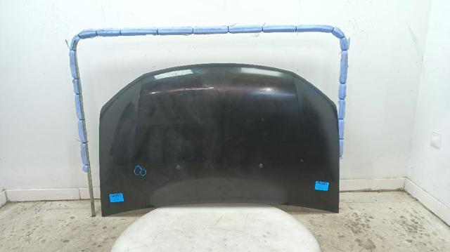651001918R Renault (RVI)