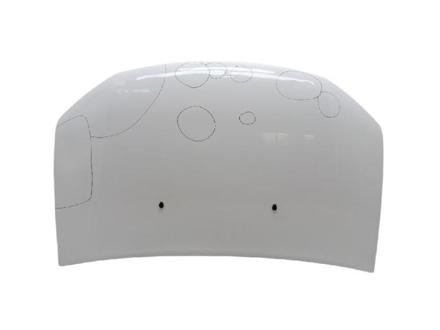 651001918R Renault (RVI)