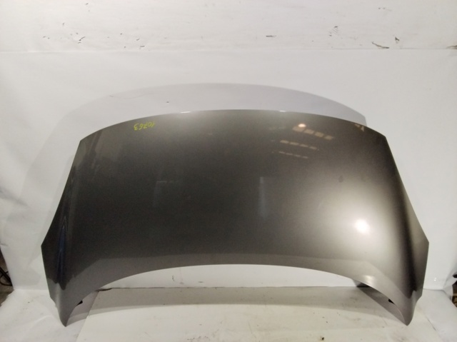 651008842R Renault (RVI)