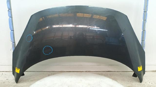 651008842R Renault (RVI)