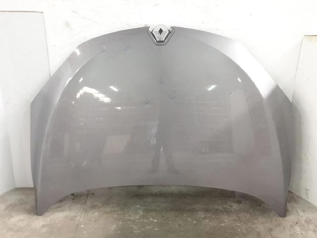 651009018R Renault (RVI)