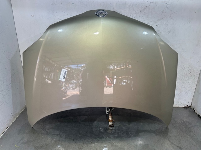 Comprar  Primera  P12