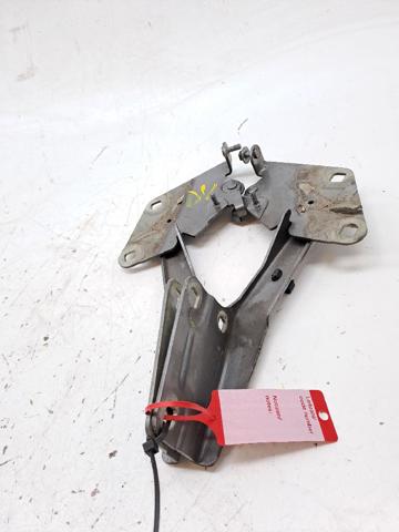 654010020R Renault (RVI)