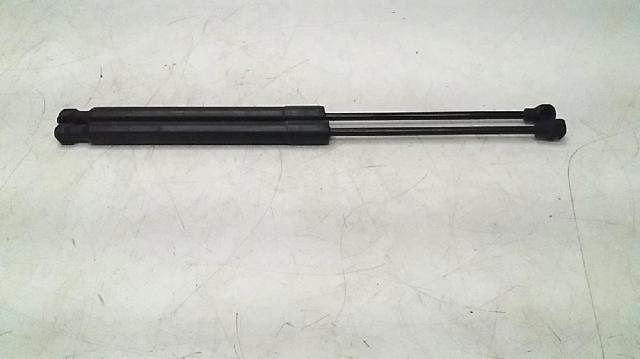 654700462R Renault (RVI)