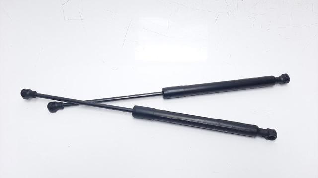 Amortecedor da capota 654700462R RENAULT