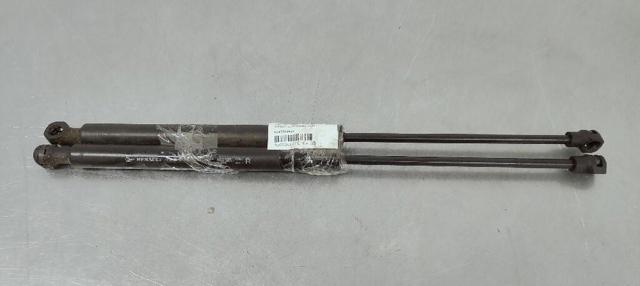 654700462R Renault (RVI)