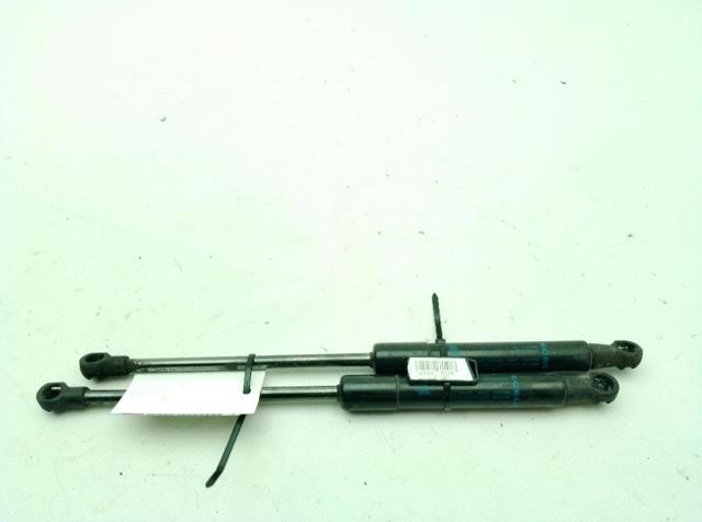 Amortecedor da capota 654702565R RENAULT