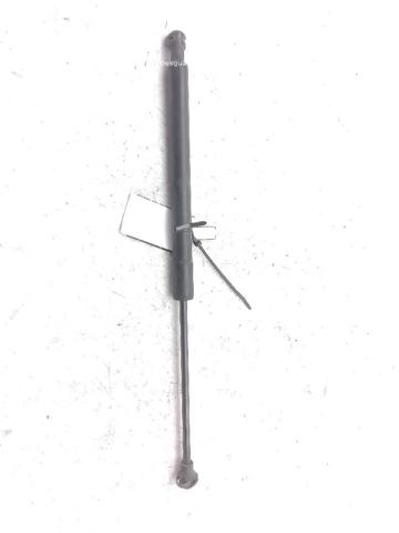 654704175R Renault (RVI)