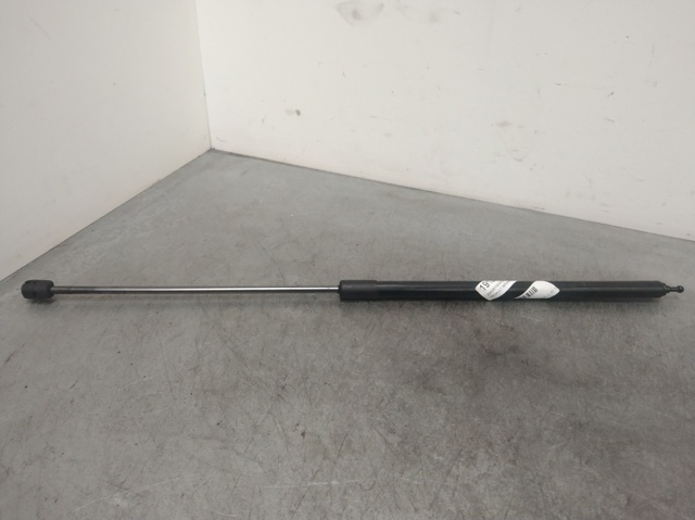 654710003R Renault (RVI)