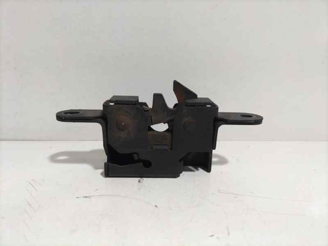 656010010R Renault (RVI)