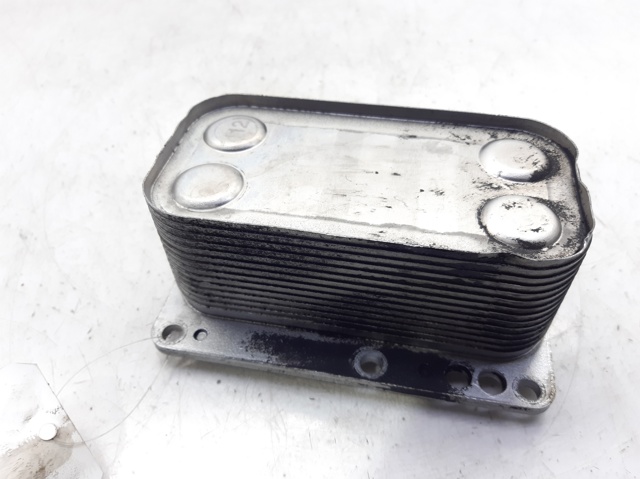 6790972560 Renault (RVI)