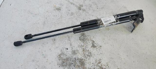 Amortecedor de tampa de porta-malas (de 3ª/5ª porta traseira) 68101213AA FIAT