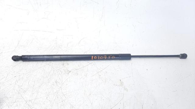 Amortecedor de tampa de porta-malas (de 3ª/5ª porta traseira) 68103066AB CHRYSLER