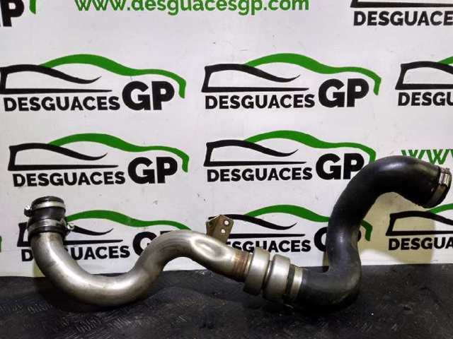 Mangueira (cano derivado) de intercooler 6H229G738AA LAND ROVER