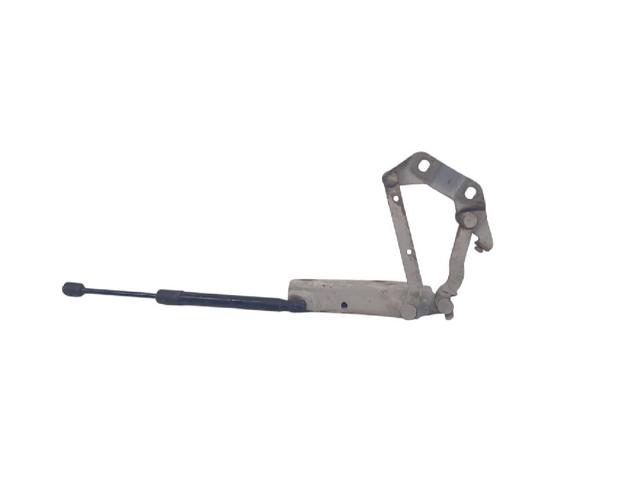 Gozno da capota esquerdo 6H5216801AC LAND ROVER