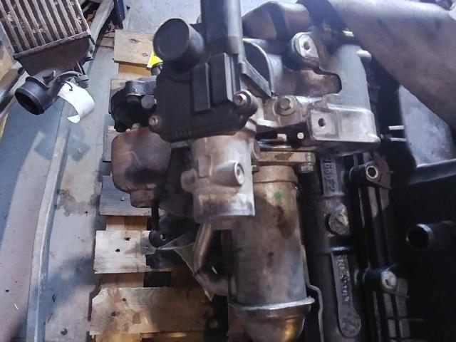 7003680600 Renault (RVI)