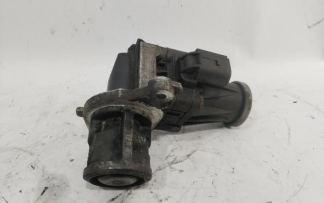 Válvula EGR de recirculação dos gases 701599040 OPEL