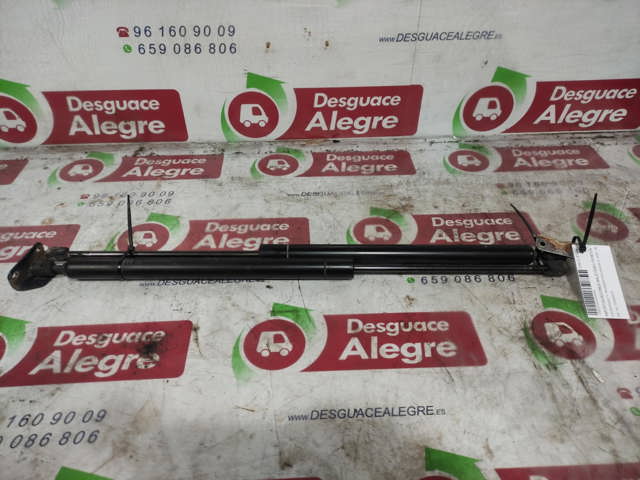 Amortecedor de tampa de porta-malas (de 3ª/5ª porta traseira) 701829331S VAG