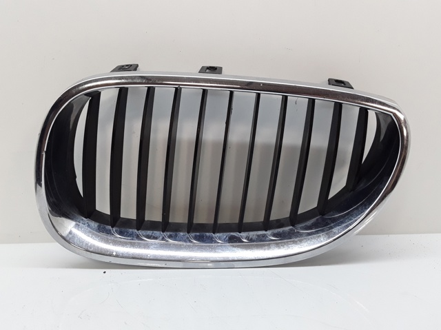 Grelha do radiador esquerda 7027061 BMW