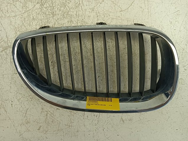 Grelha do radiador esquerda 7065701 BMW