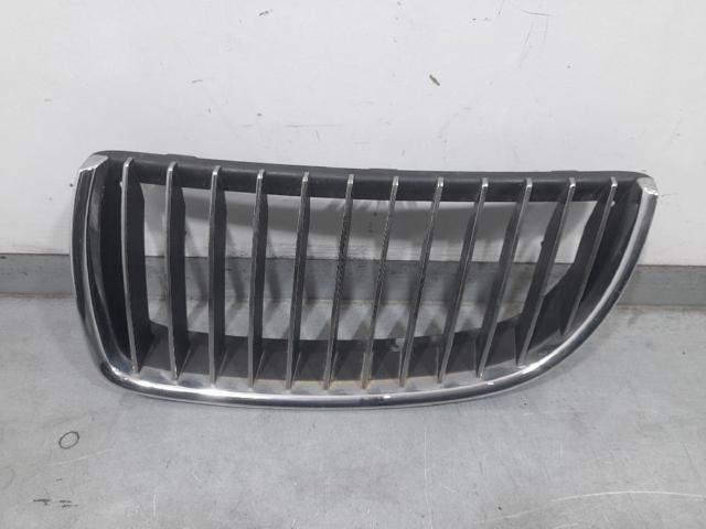 Grelha do radiador esquerda 7120009 BMW
