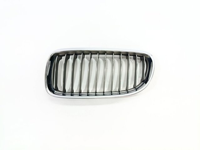 Grelha do radiador esquerda 7120009 BMW
