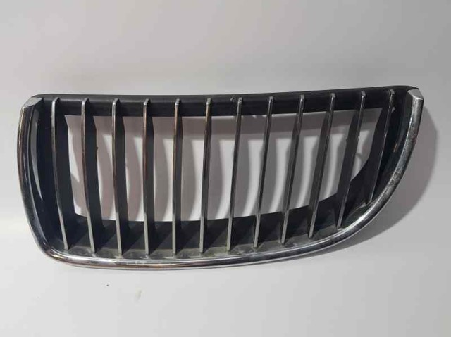 Grelha do radiador esquerda 7120009 BMW