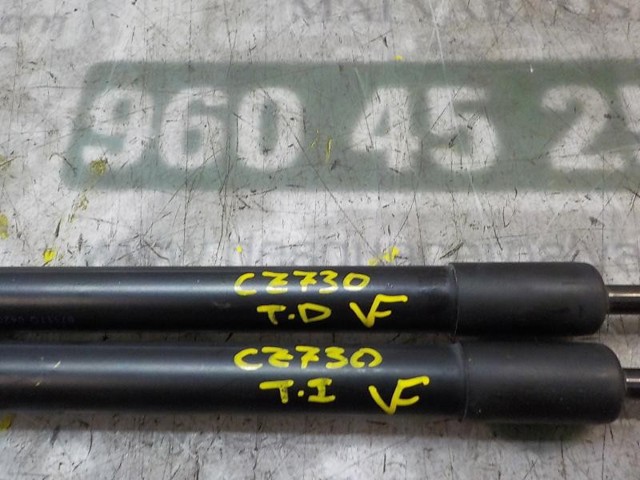 Amortecedor de tampa de porta-malas (de 3ª/5ª porta traseira) 71743352 FIAT